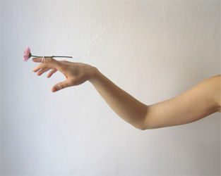 Denise Fasanello, <i>Flower Arm</i>, Digital photograph