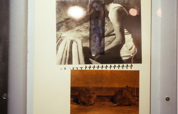 two-sided photo transfer on rice paper, Letraset, montage, plexiglass and steel hinged frame, 2005