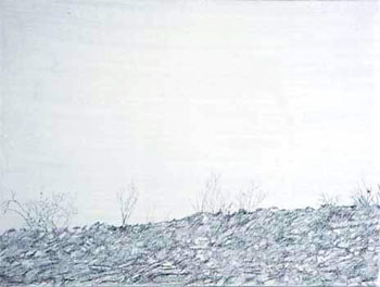 Mel Pekarsky, <i>Ridge</i>, pencil on canvas